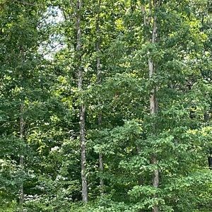 Meet your Posher, K Morton